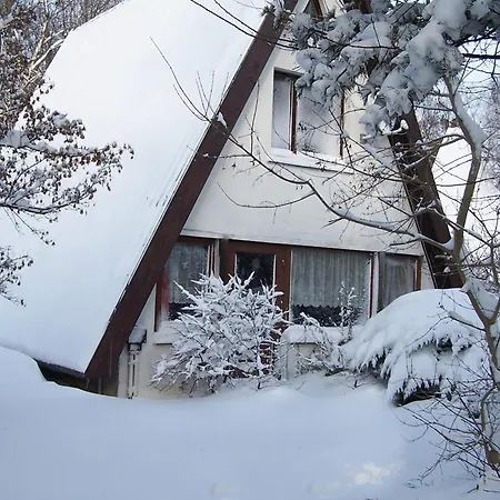 Ferienhaus-fischlandde Gruenbaum